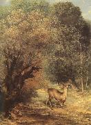 Gustave Courbet Deer oil painting reproduction
